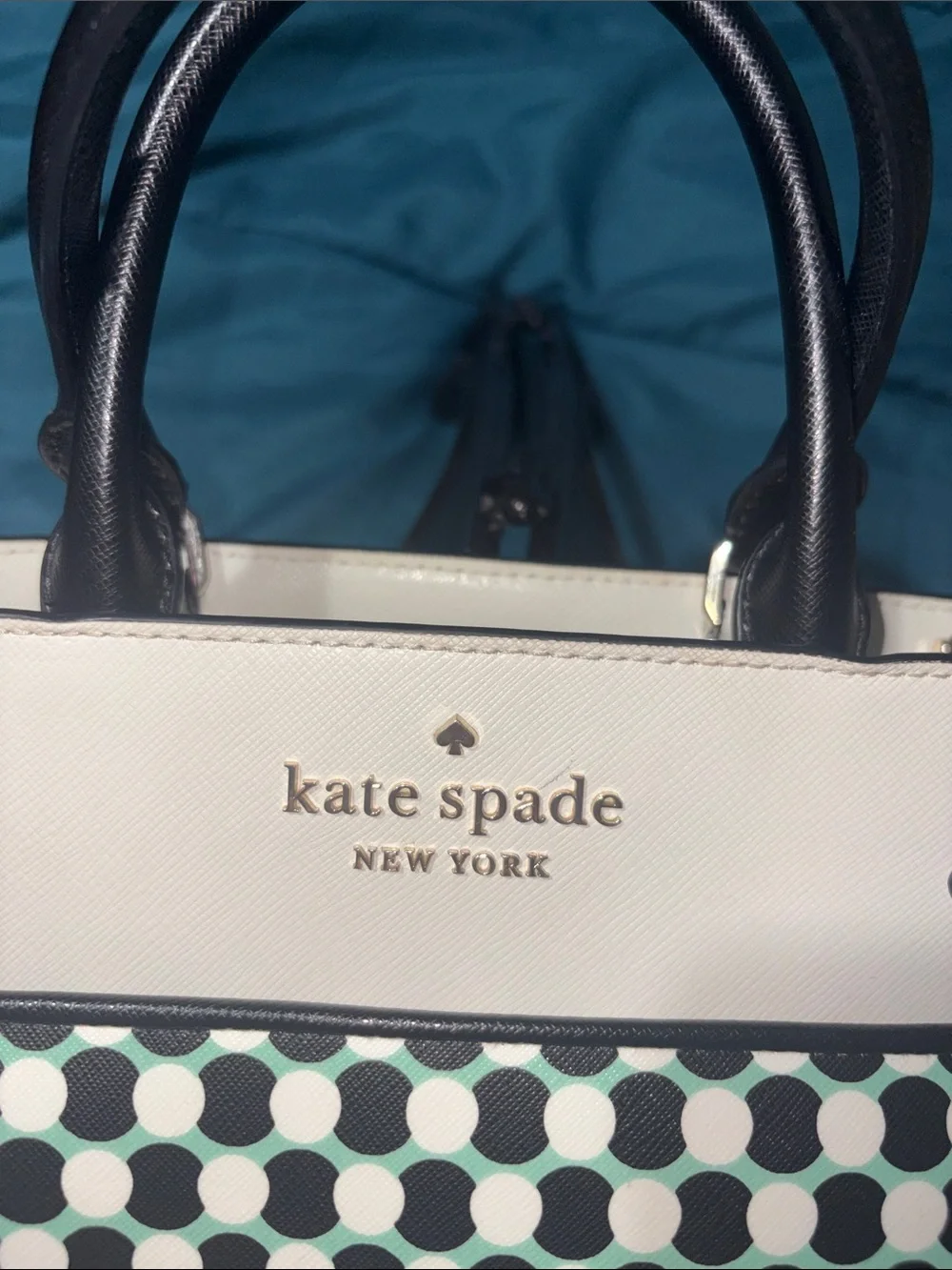 The Kate Spade New York Staci Benay Spot Medium Satchel + Free Dusty